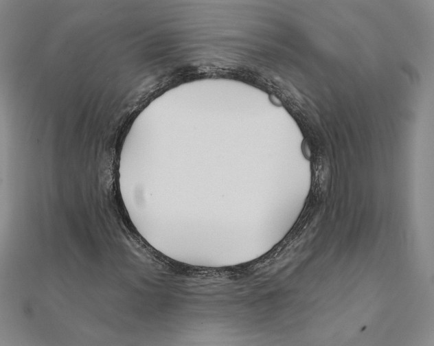 X0000111211012200907291247