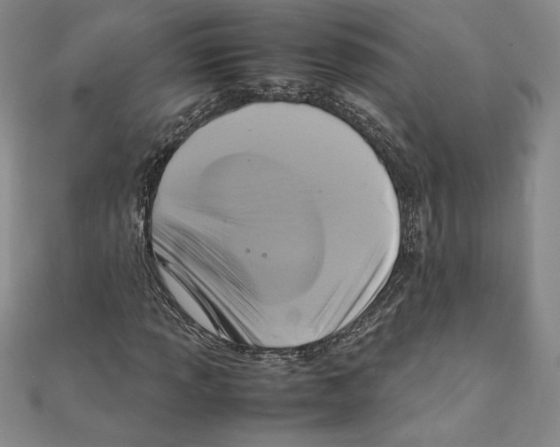 X0000111211013200907291247