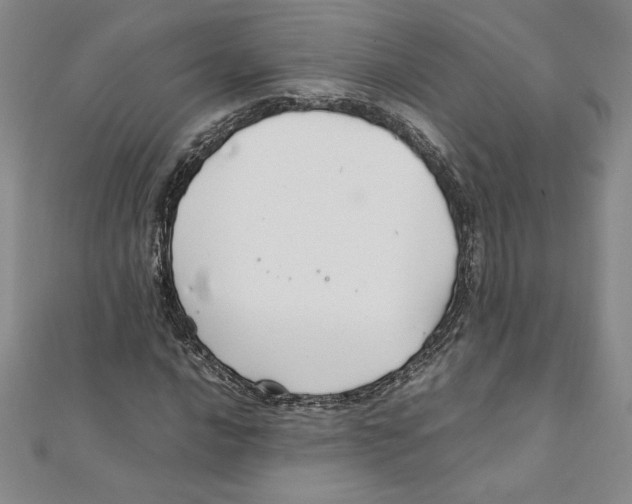 X0000111211016200907291247