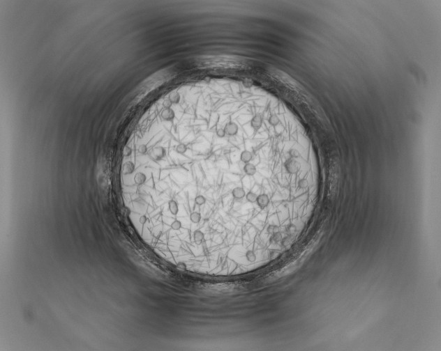 X0000111211017200907291247