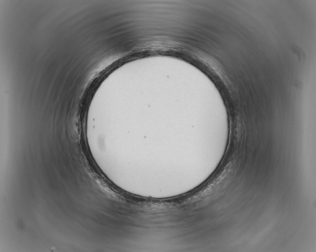 X0000111211018200907291247