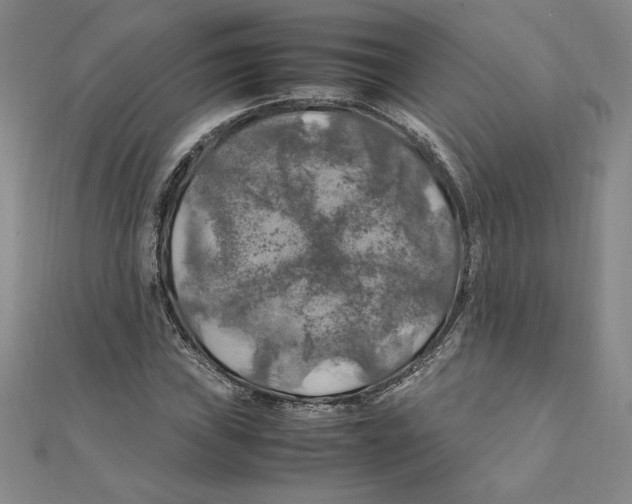 X0000111211019200907291247