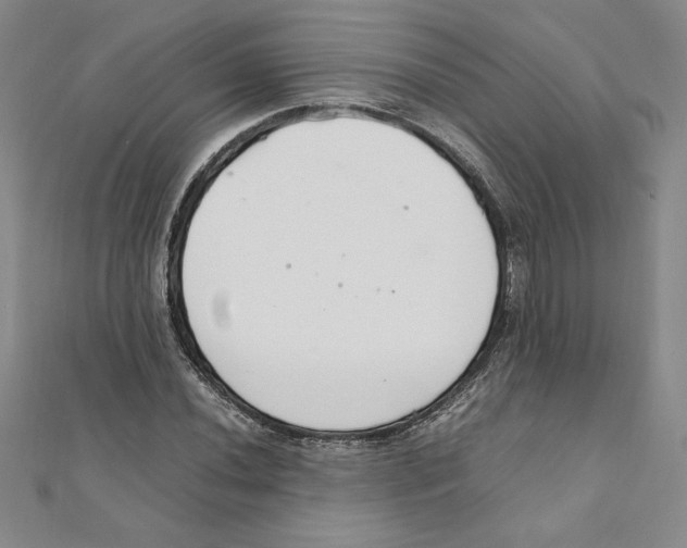 X0000111211020200907291247