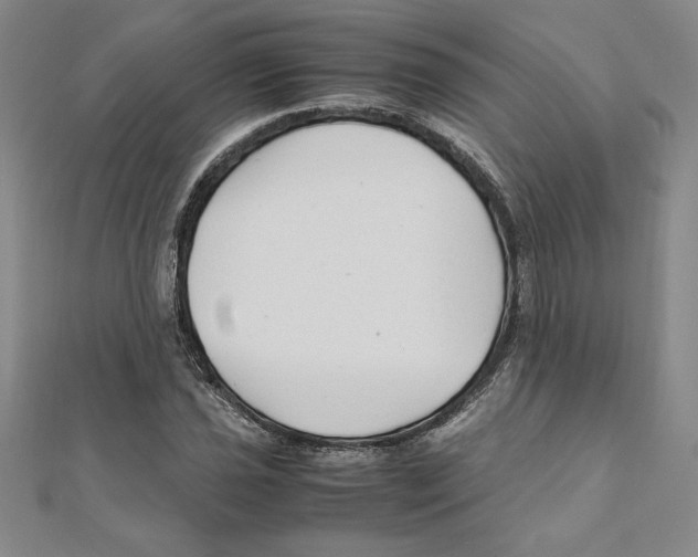 X0000111211021200907291247