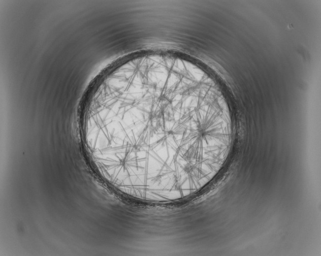 X0000111211022200907291247