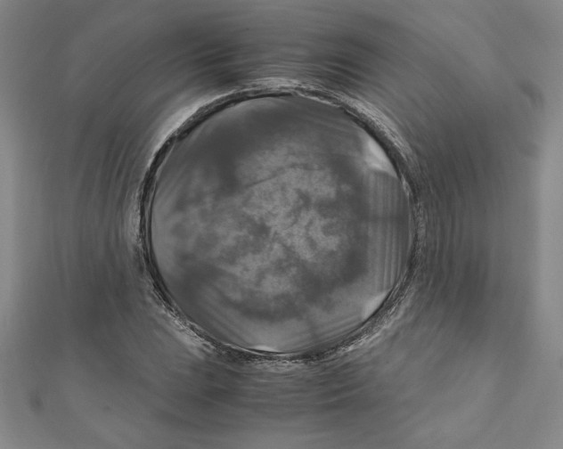 X0000111211023200907291247