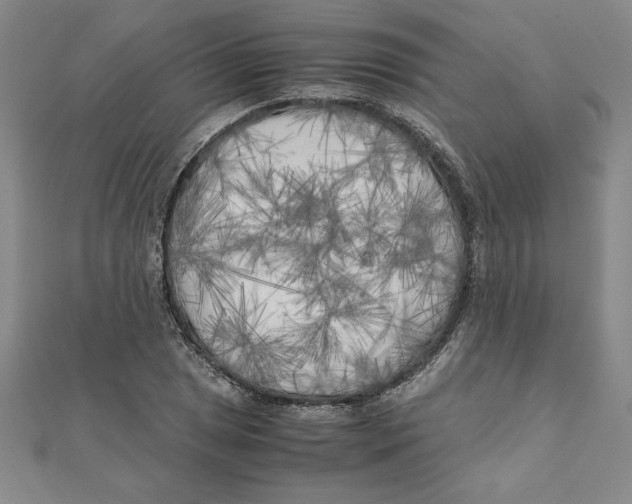 X0000111211025200907291247