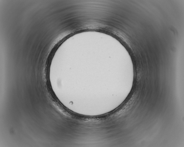 X0000111211026200907291247