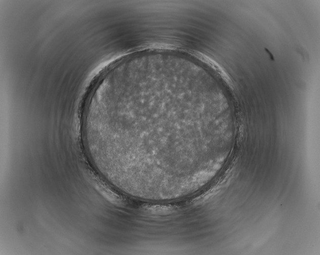 X0000111211027200907291247