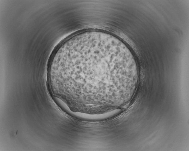 X0000111211028200907291247