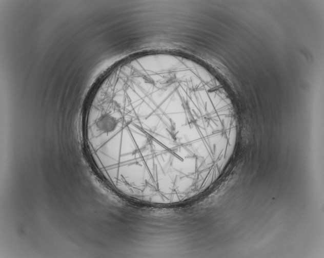 X0000111211030200907291247