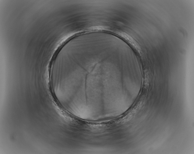 X0000111211031200907291247