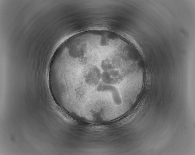 X0000111211035200907291247