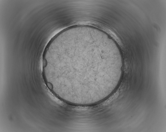 X0000111211036200907291247