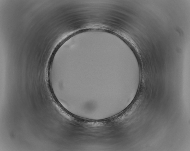 X0000111211037200907291247