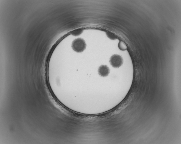 X0000111211038200907291247