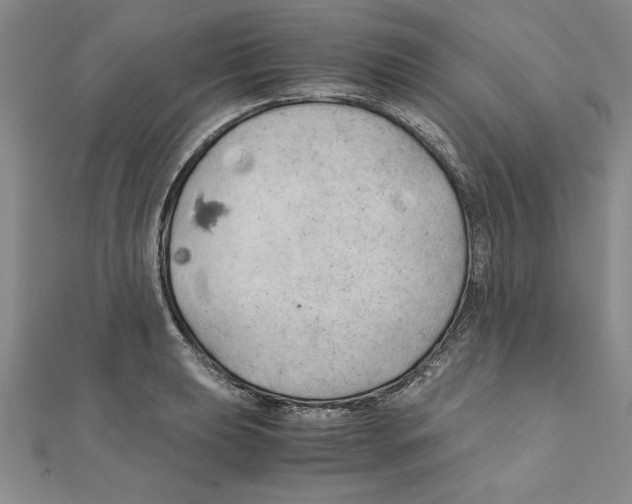 X0000111211039200907291247