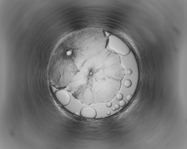 X0000111211041200907291247