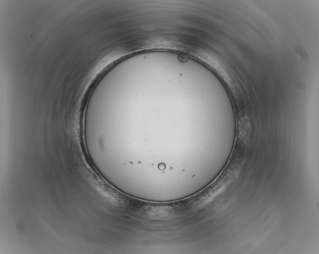 X0000111211043200907291247