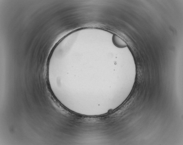 X0000111211044200907291247