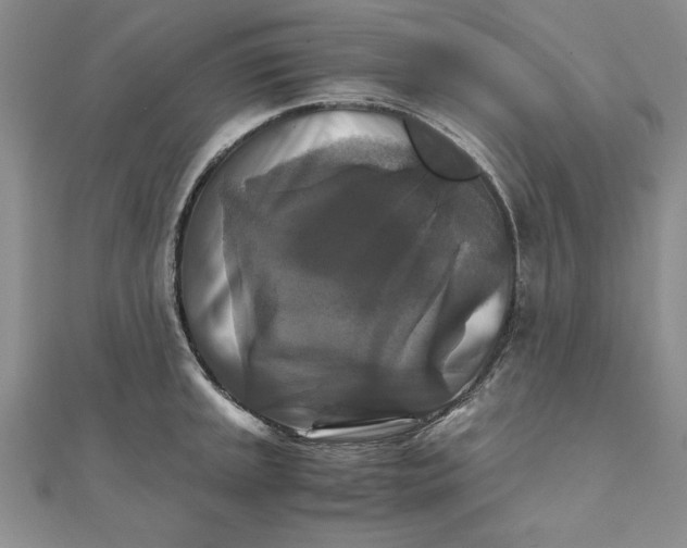 X0000111211045200907291247