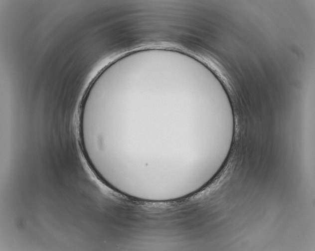 X0000111211046200907291247