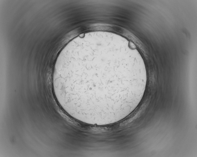 X0000111211049200907291247