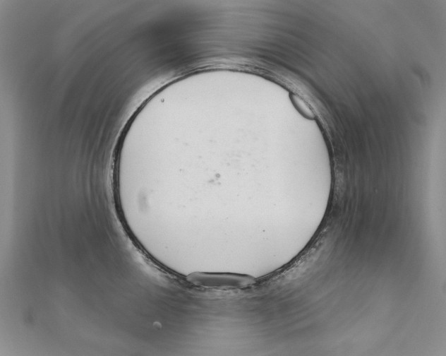 X0000111211050200907291247