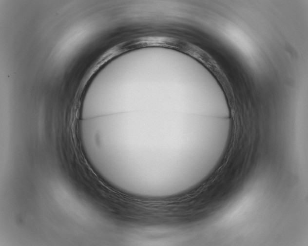 X0000111211052200907291247