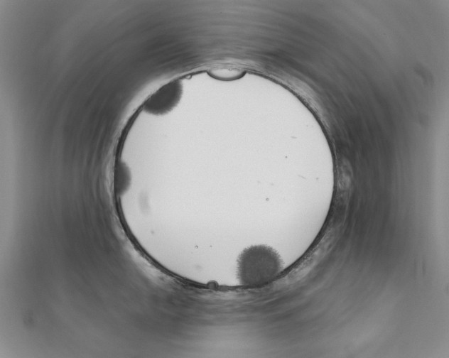 X0000111211054200907291247