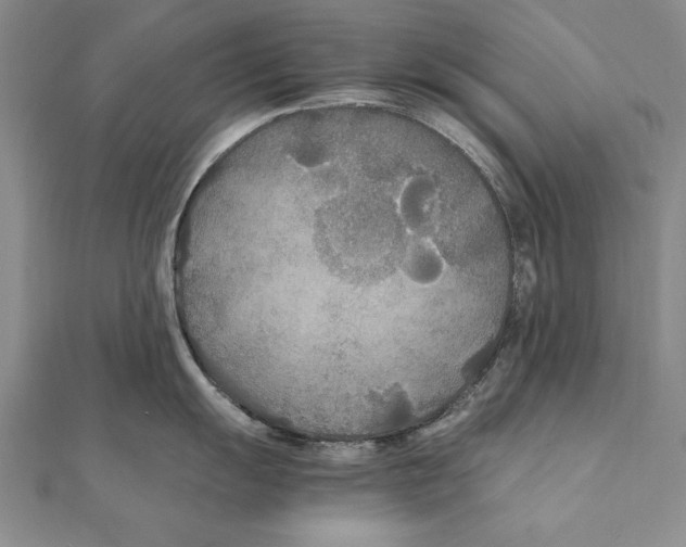 X0000111211055200907291247