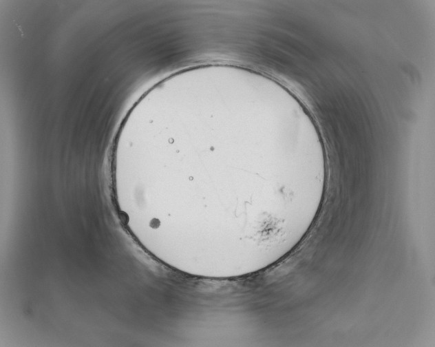 X0000111211056200907291247