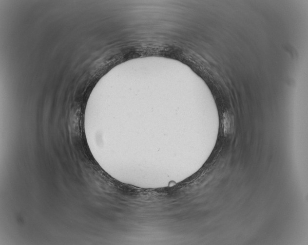 X0000111211059200907291246