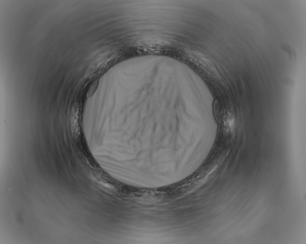 X0000111211060200907291246