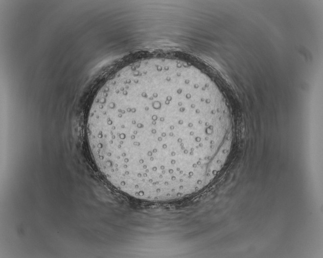 X0000111211063200907291246