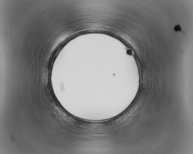 X0000111211067200907291246