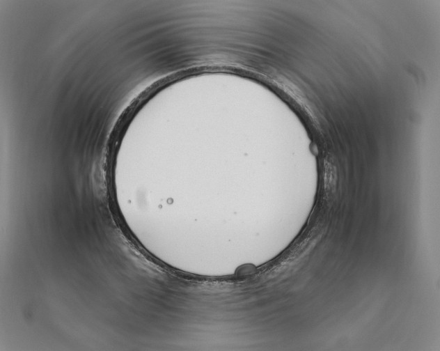 X0000111211068200907291246