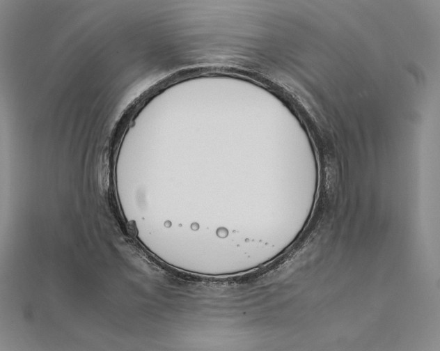 X0000111211069200907291246