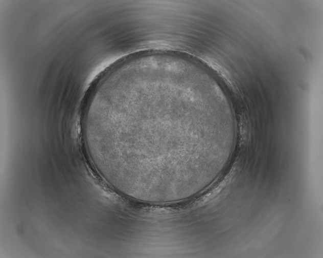 X0000111211070200907291246