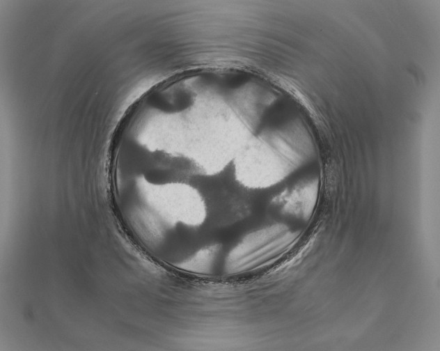 X0000111211071200907291246