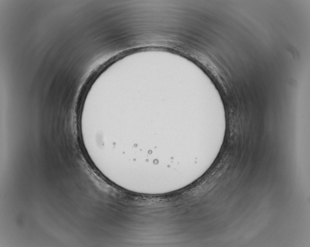 X0000111211072200907291246