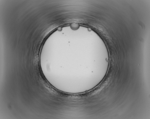 X0000111211073200907291246