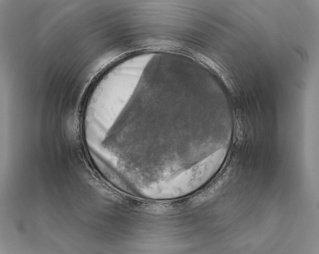 X0000111211074200907291246