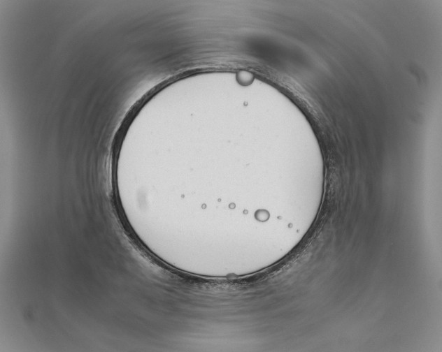 X0000111211079200907291246