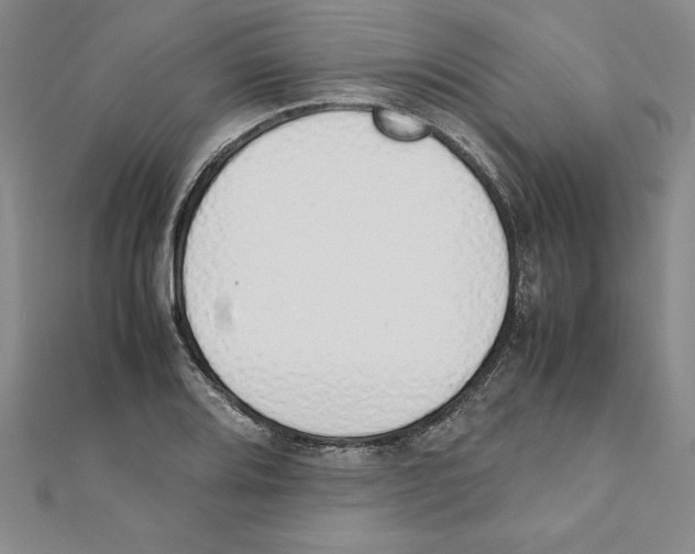 X0000111211080200907291246