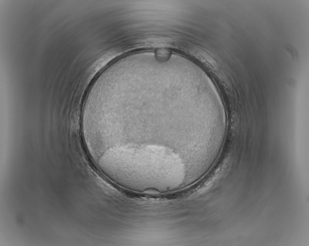 X0000111211081200907291246