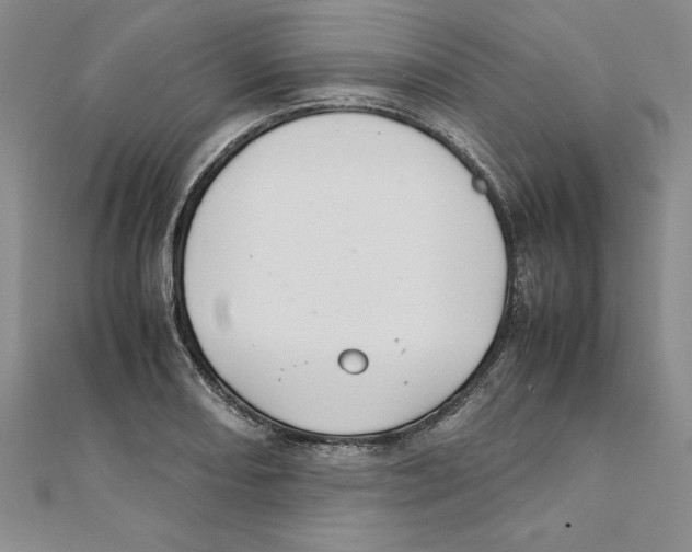 X0000111211082200907291246