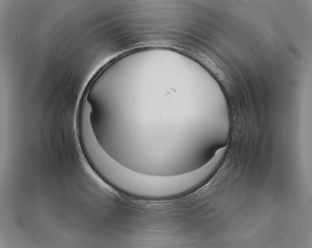 X0000111211084200907291246