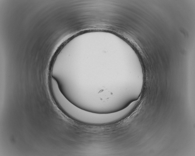 X0000111211085200907291246