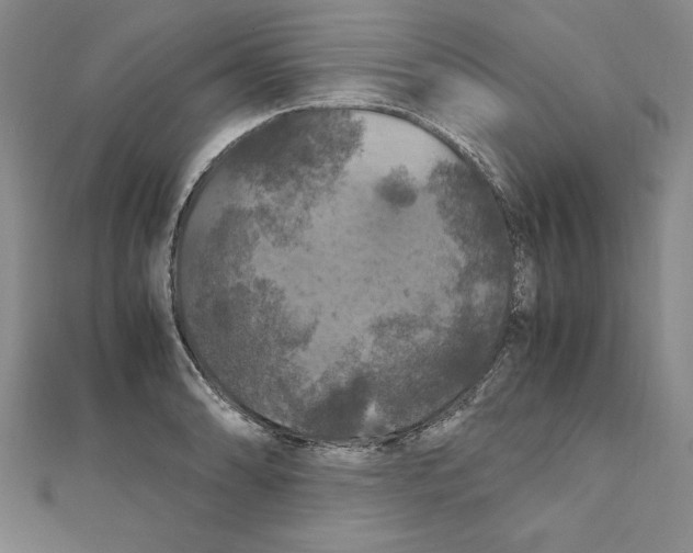 X0000111211086200907291246